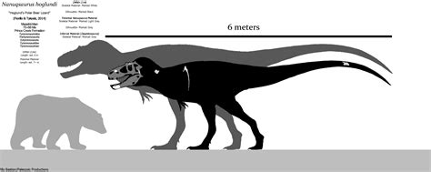 nanuqsaurus skeletal diagram.